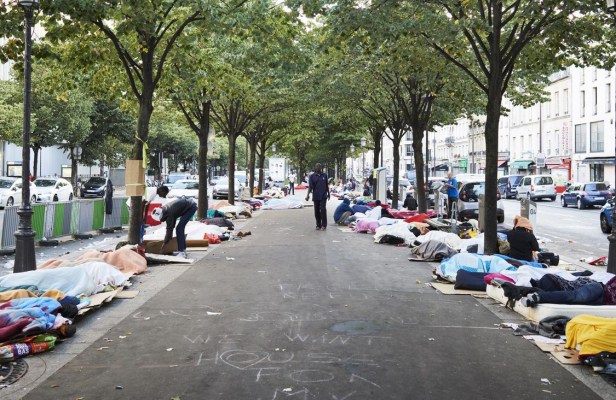 sapins-avenue-de-flandres-1