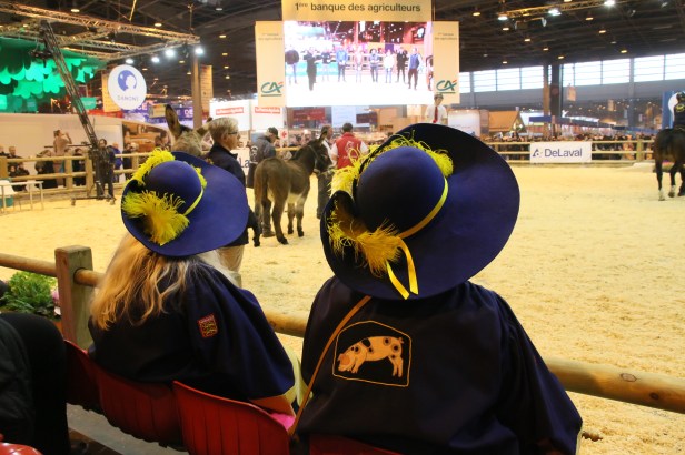 segolene-royal-au-salon-de-lagriculture-2017-12