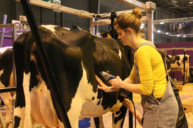 segolene-royal-au-salon-de-lagriculture-2017-13