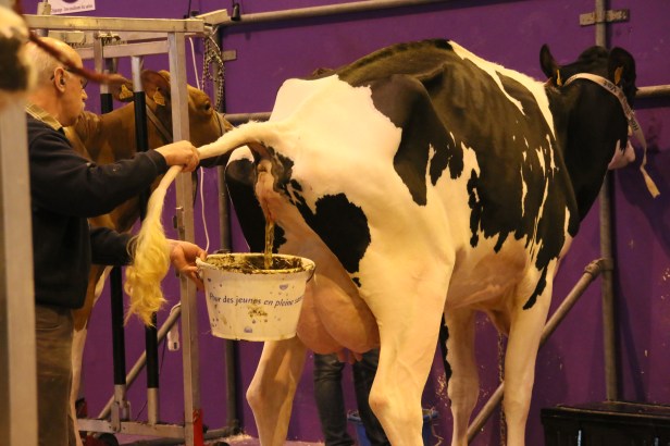 segolene-royal-au-salon-de-lagriculture-2017-16