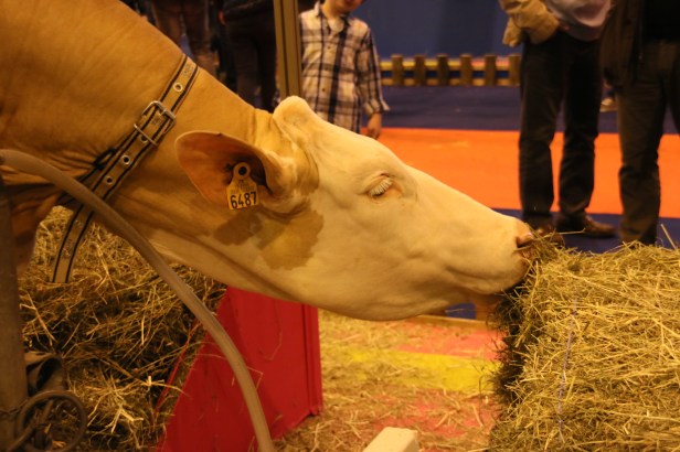 segolene-royal-au-salon-de-lagriculture-2017-8